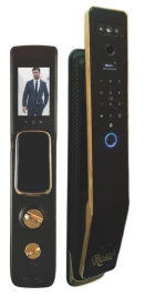 دستگیره تشخیص چهره روستیک مدل RDL-907 | ارغوان درب