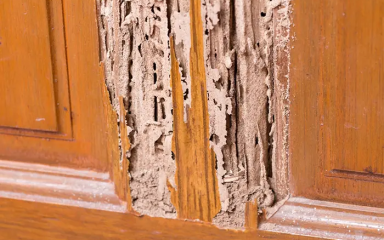 راهنمای جامع تعمیر درب سرویس بهداشتی (ترمیم پوسیدگی، تورم و رنگ)